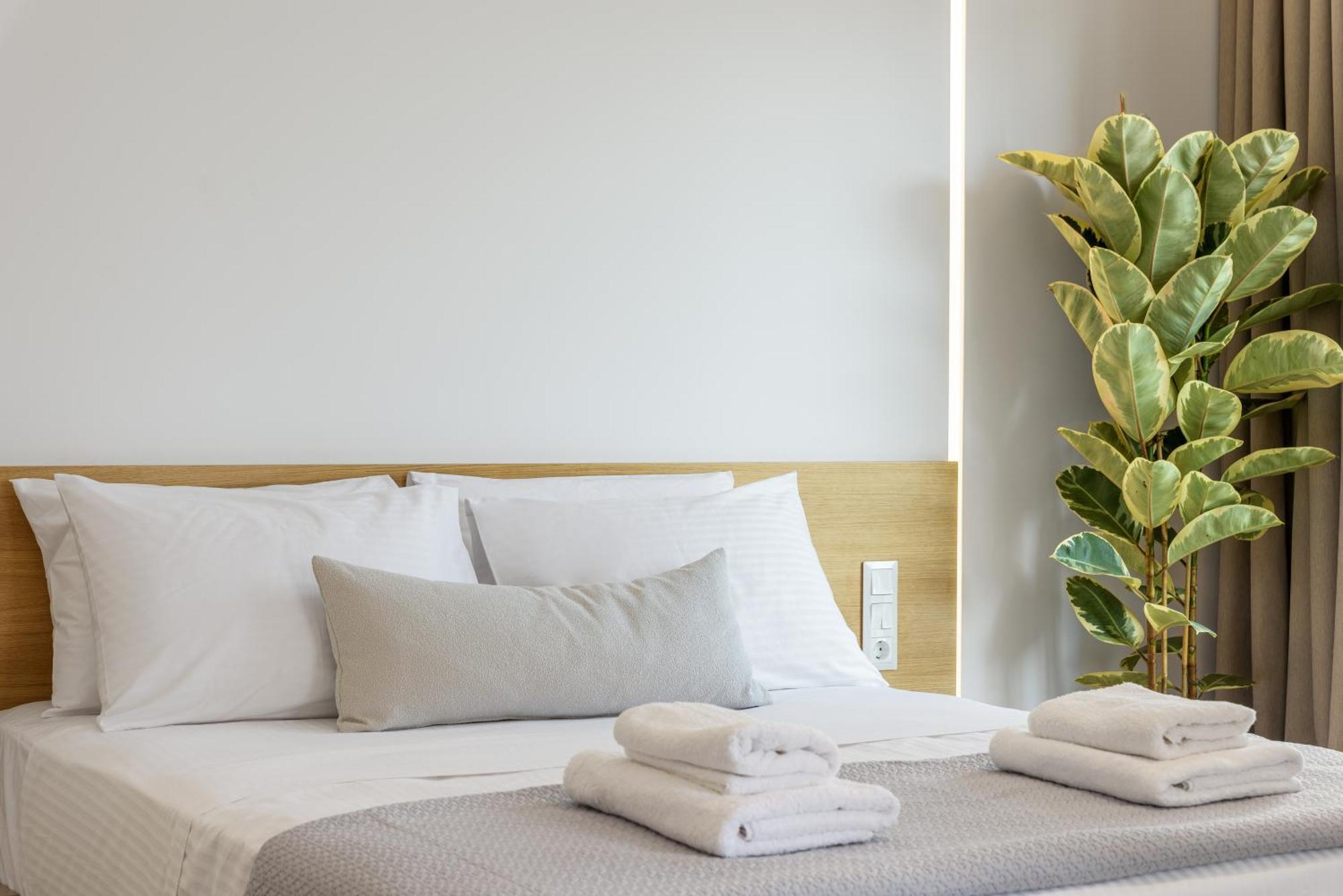 Central Sunny Loft With Plunge Pool أثينا المظهر الخارجي الصورة