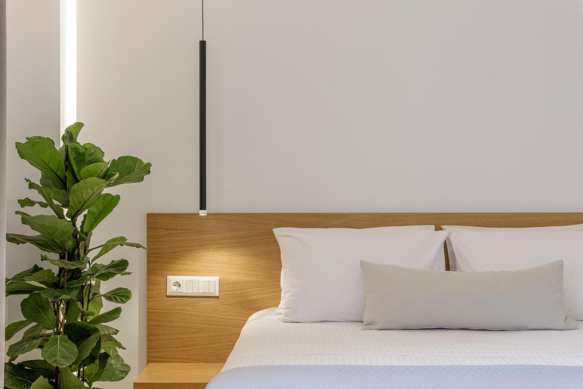 Central Sunny Loft With Plunge Pool أثينا المظهر الخارجي الصورة